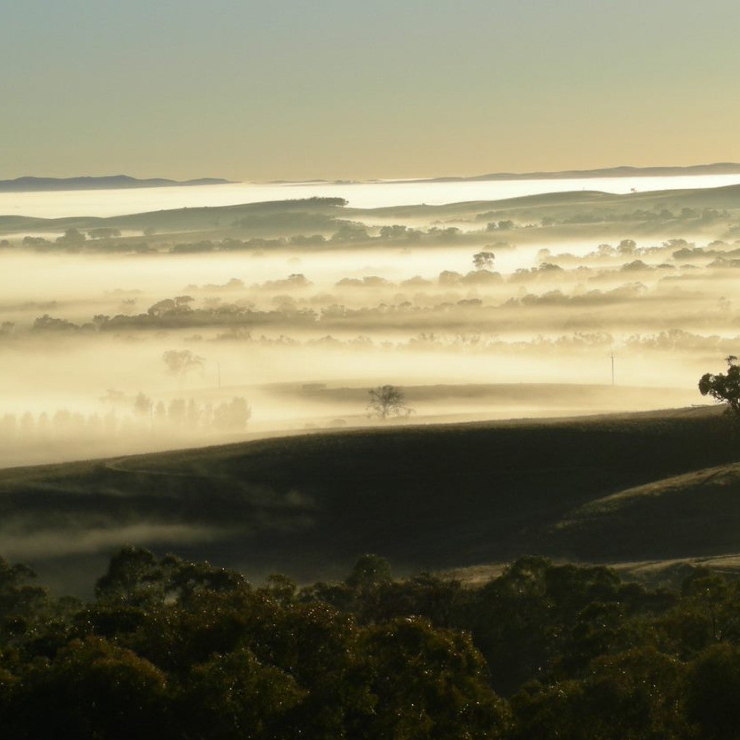 Ein Bild des Claire Valley in der Morgendämmerung
