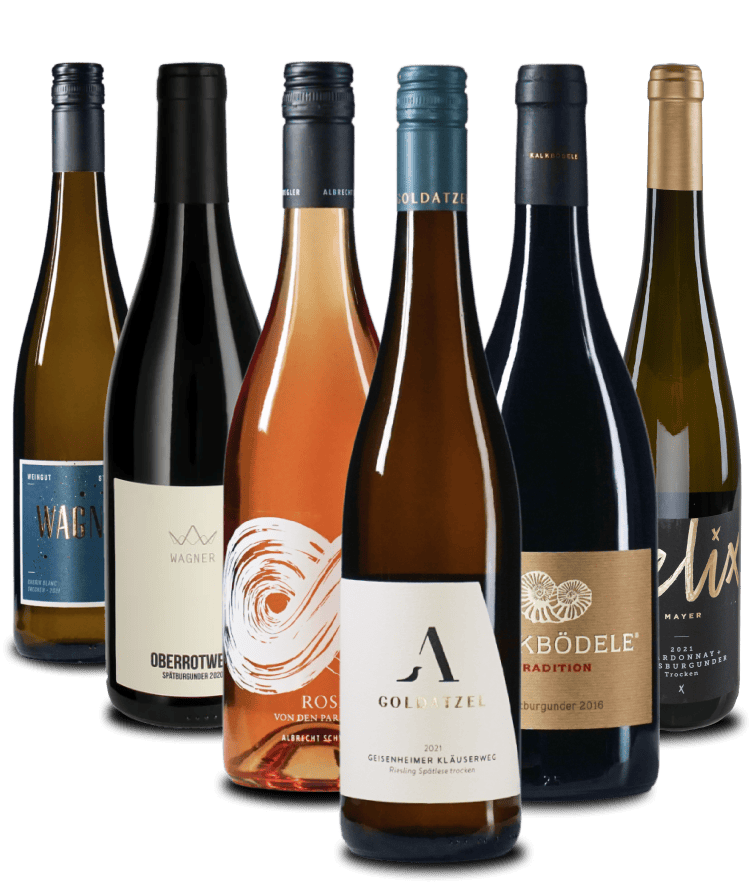 Das JUNGE WINZER Weinpaket (Diverse) bei Vioneers kaufen