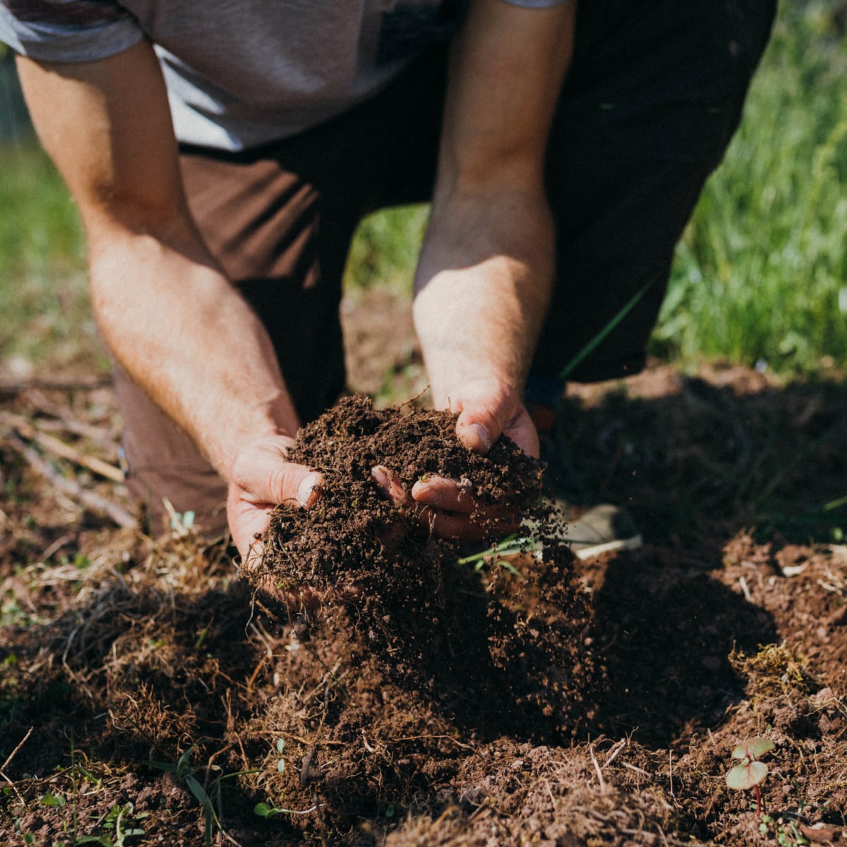 Ein Mann, der Erde umgräbt.