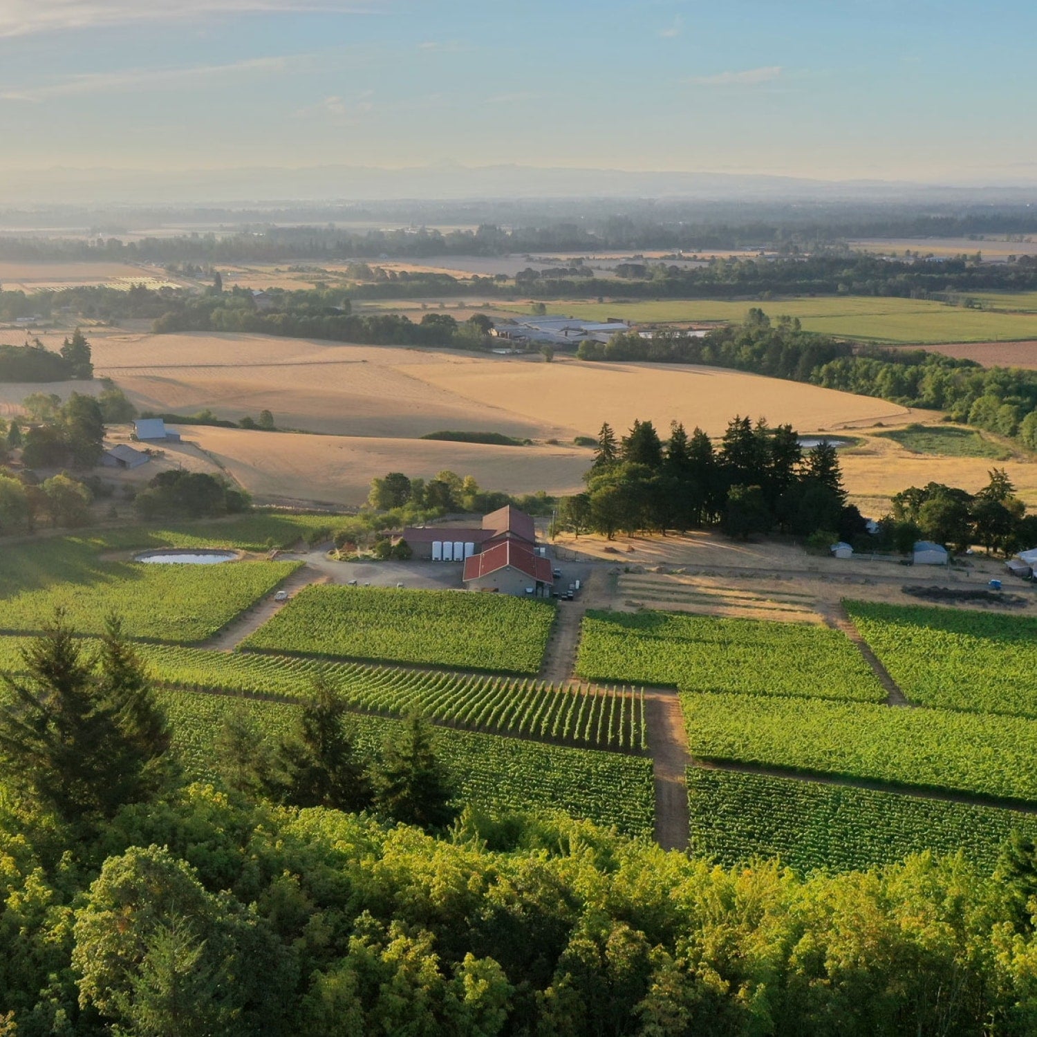 Ein Bild von Oregon von oben