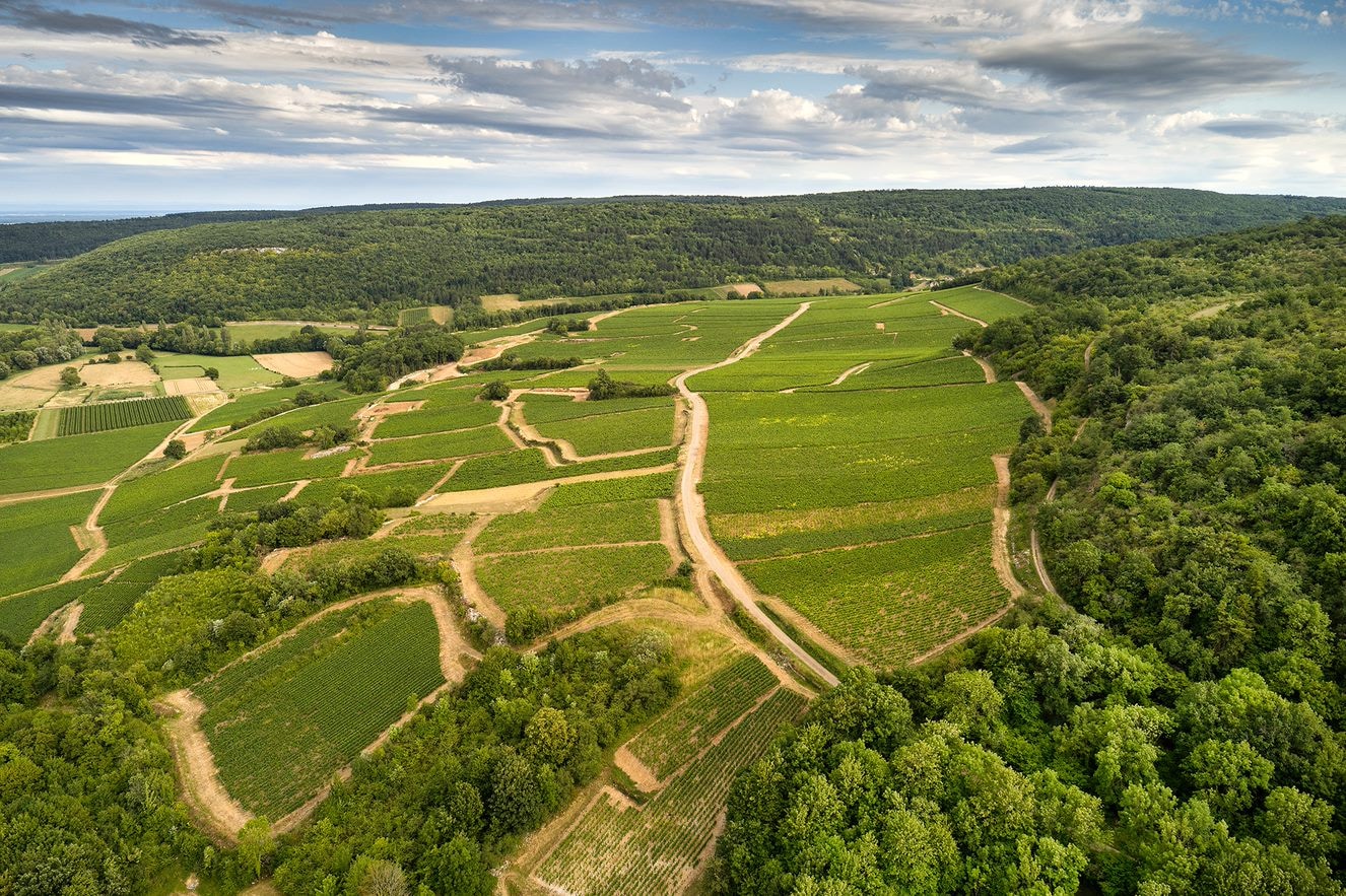 Wein aus dem Burgund