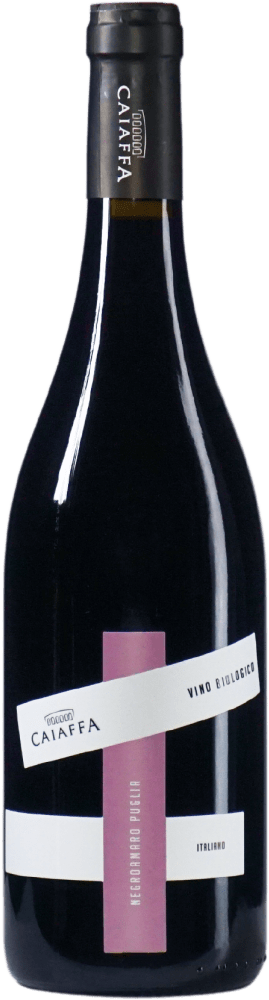 Eine Flasche Wein 1034Negroamaro2021