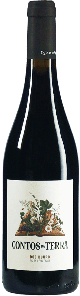 Eine Flasche Wein 1274ContosdaTerraTinto2022