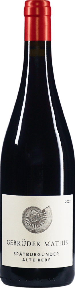 Eine Flasche Wein 2933SpaetburgunderAlteRebe2022Mathis
