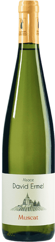 Eine Flasche Wein 3026Muscat2023Ermel