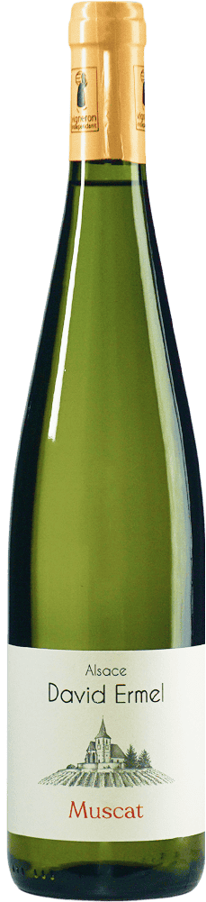 Eine Flasche Wein 3026Muscat2023Ermel