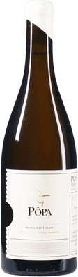 Amphora Branco
