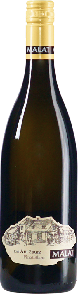 Eine Flasche Wein 4435PinotBlancAmZaun2023