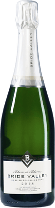 Eine Flasche Wein 7081BlancdeBlancs