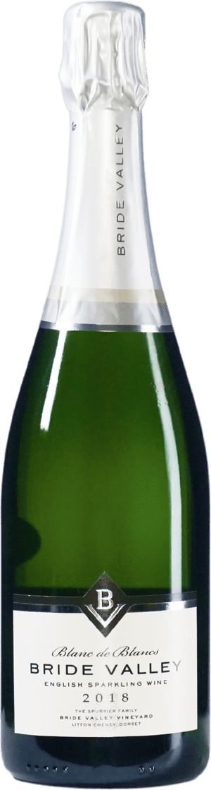 Eine Flasche Wein 7081BlancdeBlancs