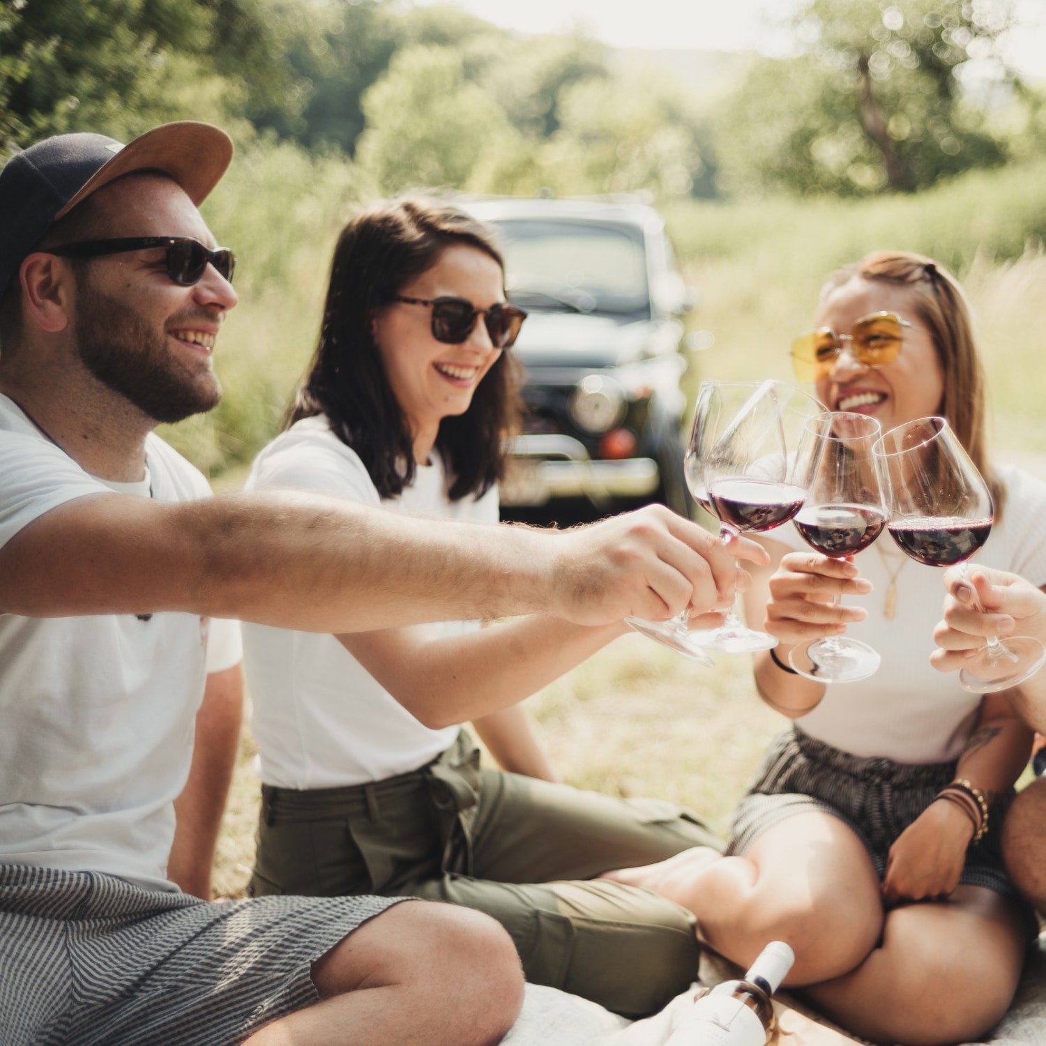 Vier Freunde bei einem Picknick, wie sie mit Rotweingläsern gemeinsam anstoßen