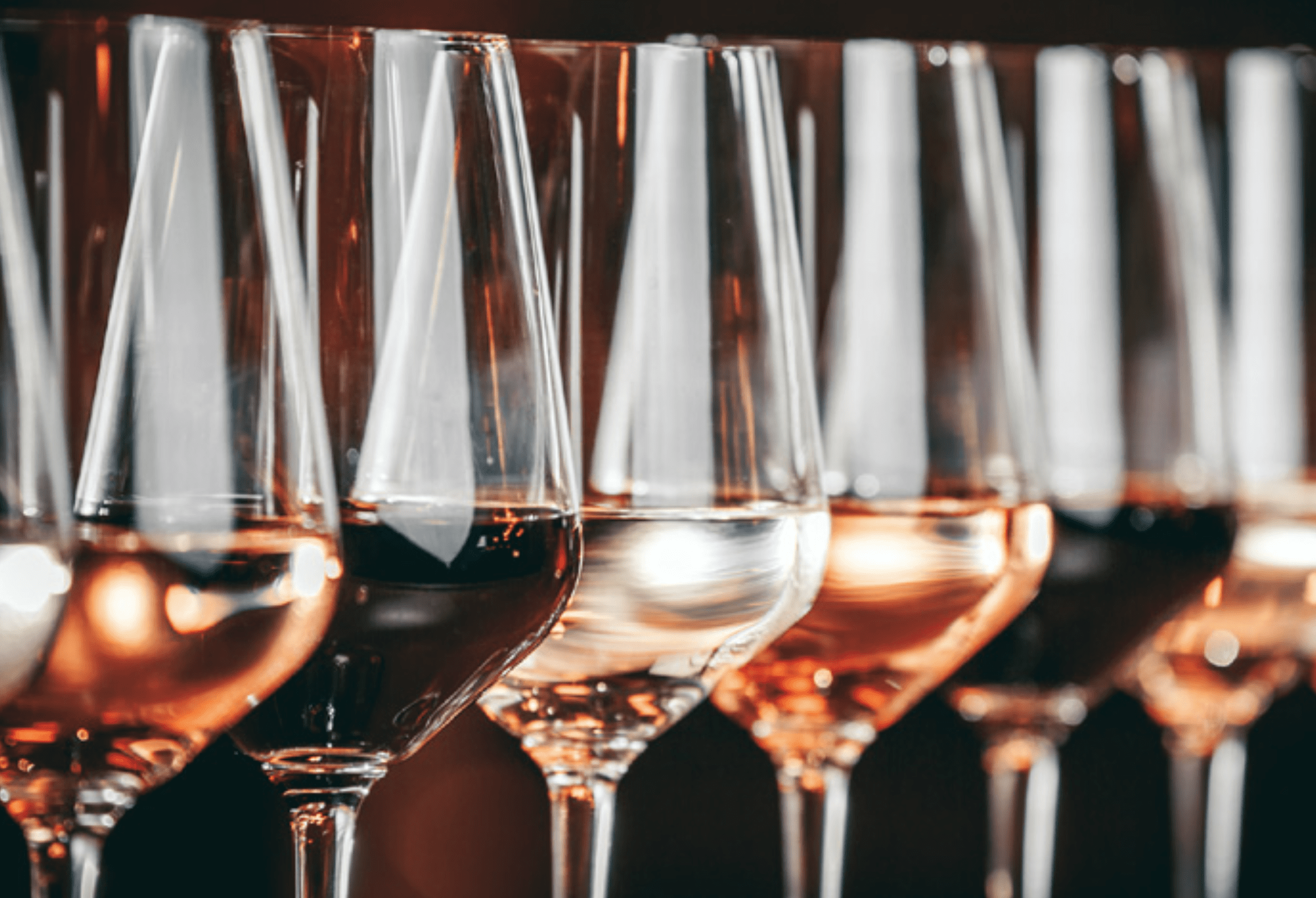 Nahaufnahme von Gläsern einer Weinverkostung