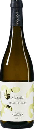 Eine Flasche Wein Carabus