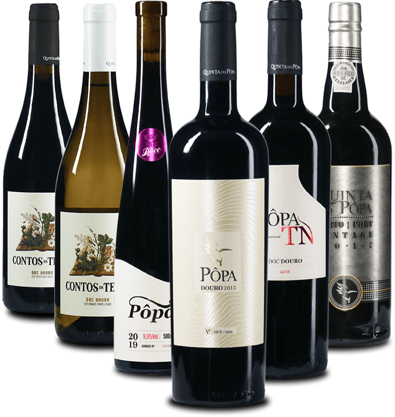 Das PÔPA Probierpaket