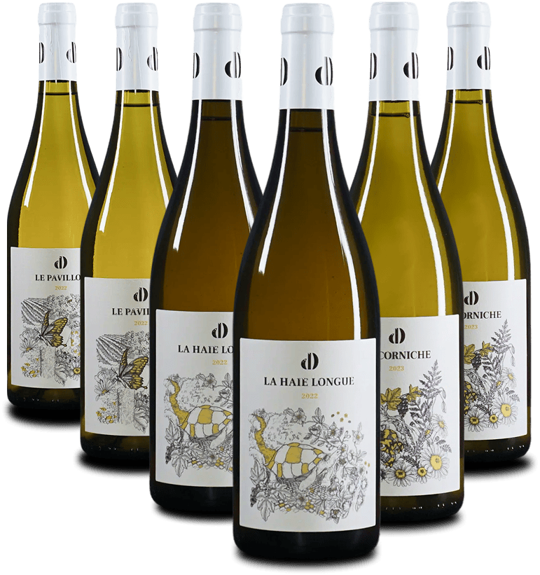 Das DOMAINE DROST Probierpaket