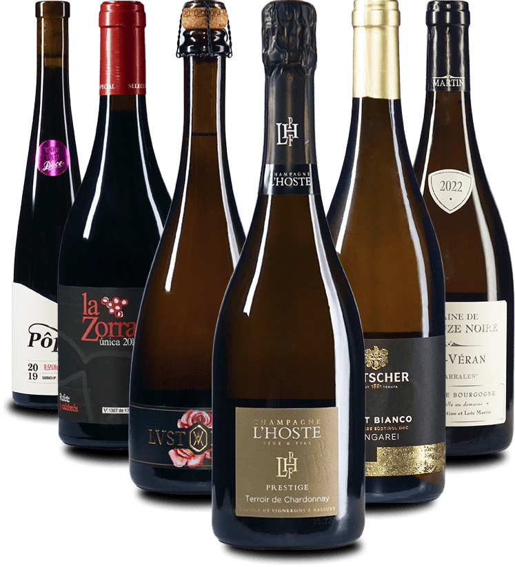 Das FESTIVE DINNER Weinpaket 6er