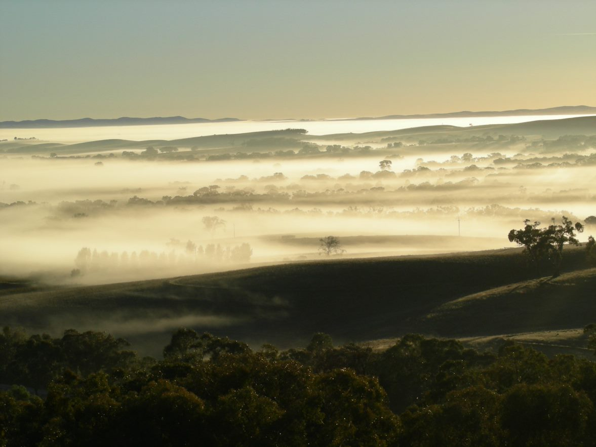 Syrah - kraftvoller Charakter mit feinem Gewürzaroma