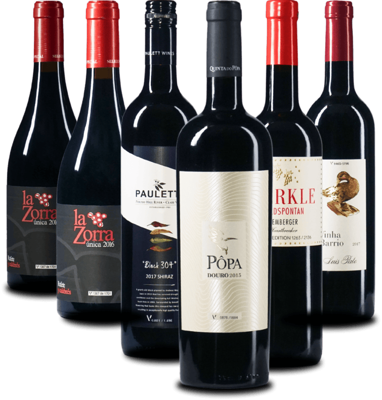 Das VIONEERS ORIGINALS Weinpaket