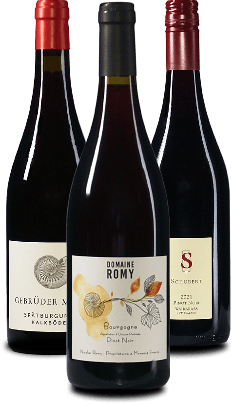 Das PINOT NOIR Weinpaket 3er