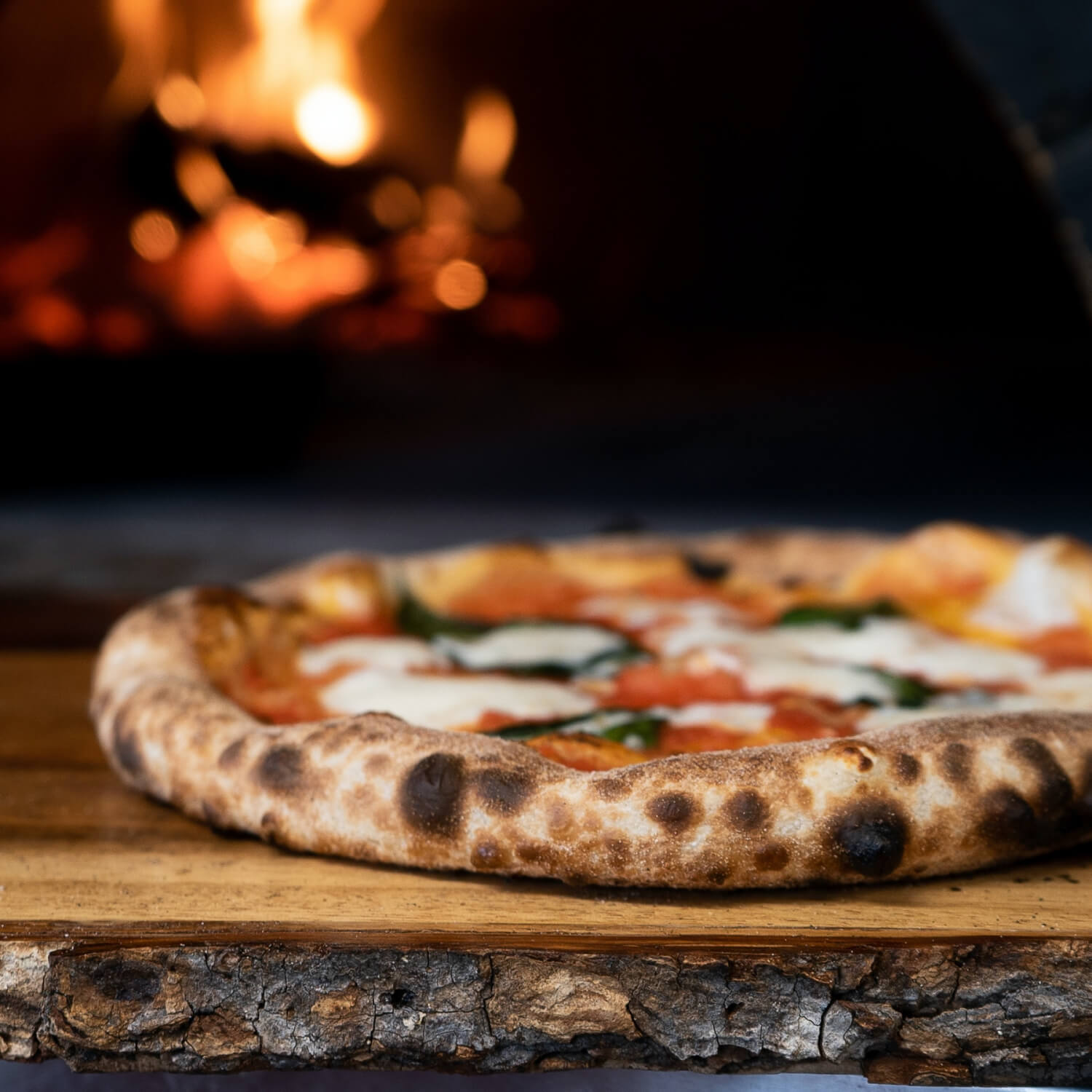 eine neapolitanische Pizza aus dem Holzofen mit Tomaten, Mozzarella und frischem Basilikum