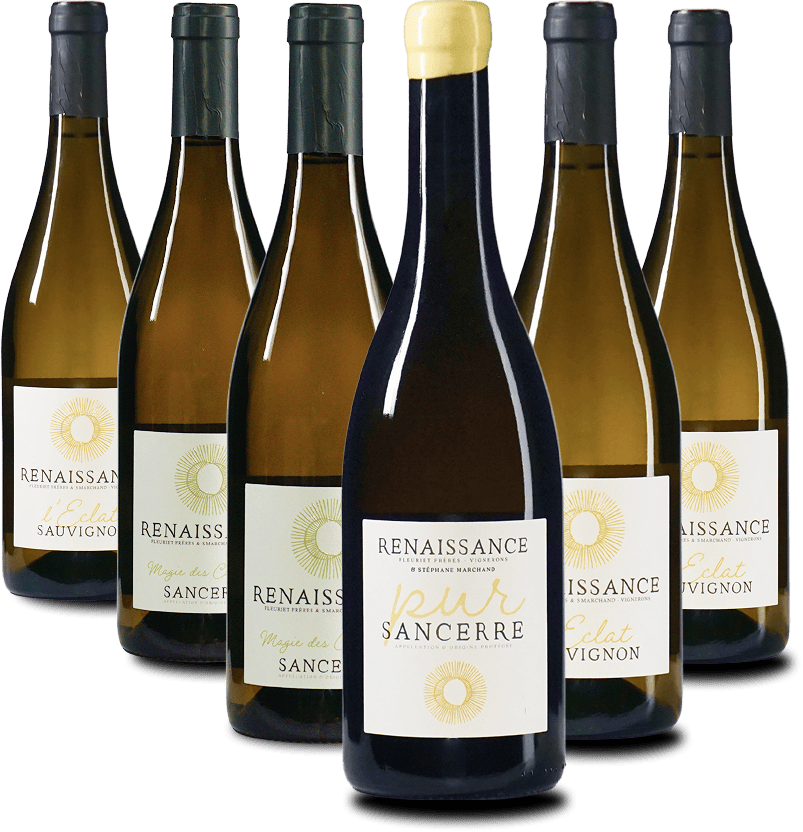 The RENAISSANCE sample package