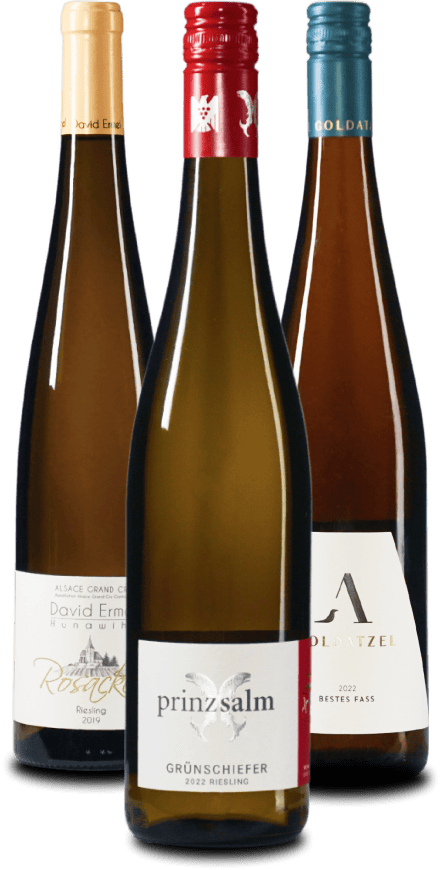 Das RIESLING Weinpaket 3er