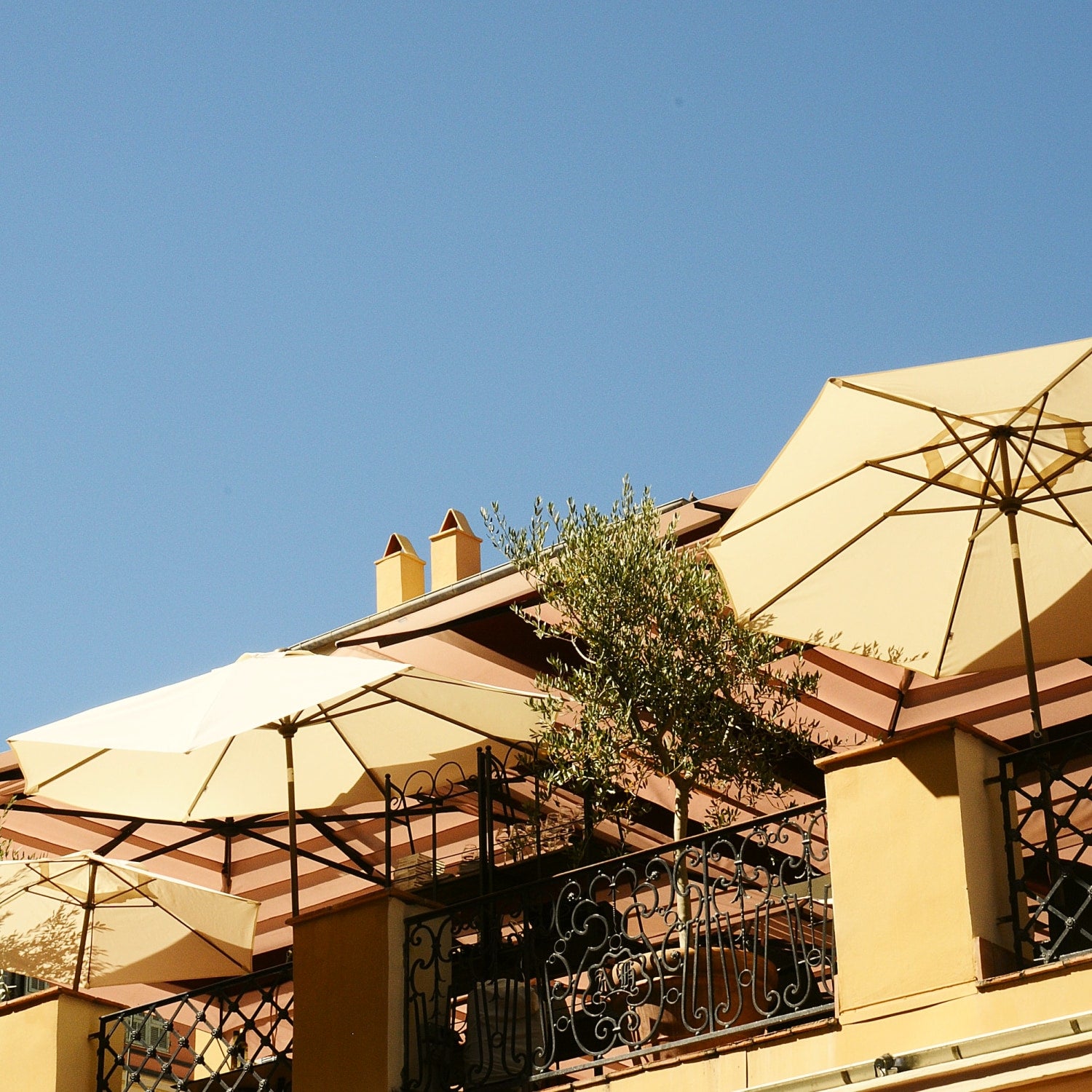 Toskanische Terrasse mit drei gelben Sonnenschirmen, verschnörkeltem Metallgeländer, Olivenbäumen und blauem, wolkenlosem Himmel