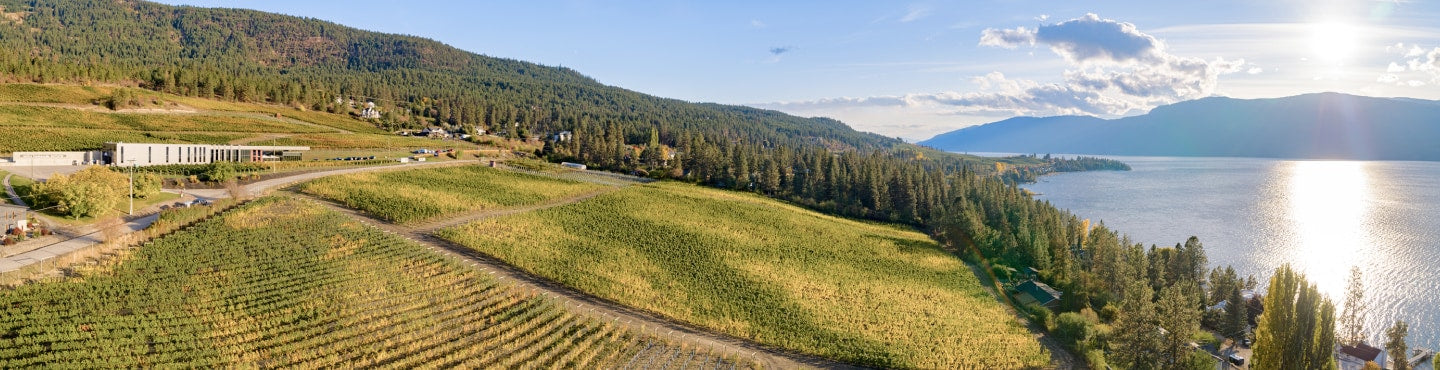 Weinland Kanada: Vom Geheimtipp zum Newcomer