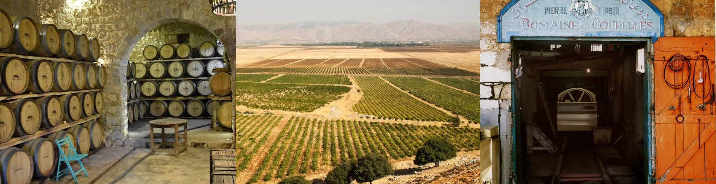 Wein aus dem Libanon - Terroir erleben & Charakter entdecken