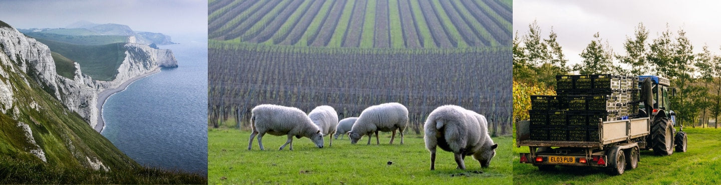 Großbritannien – Cool-Climate mit britischer Handschrift