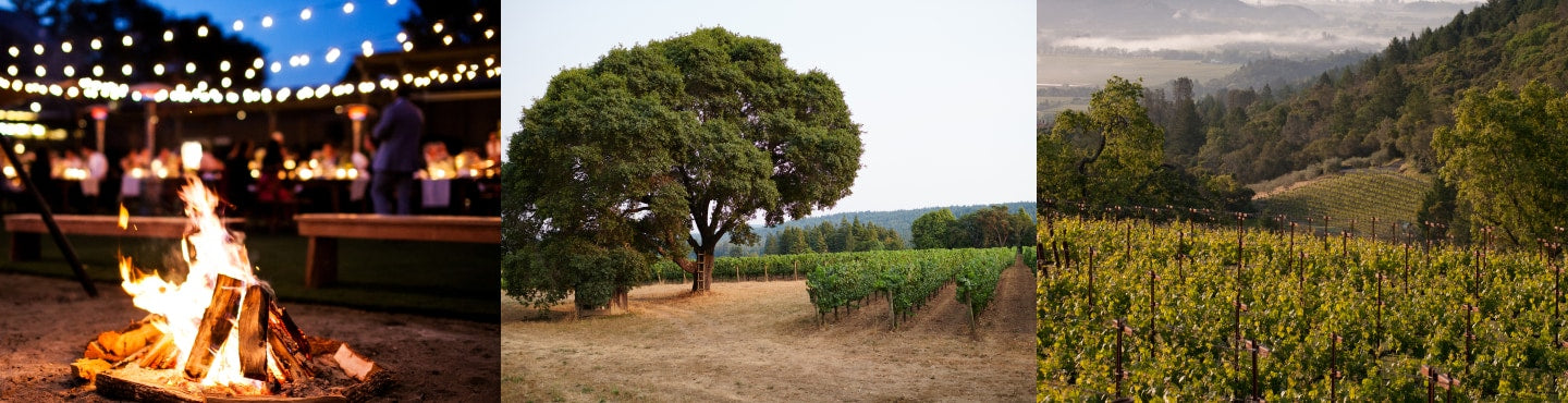 About winemaking in the USA