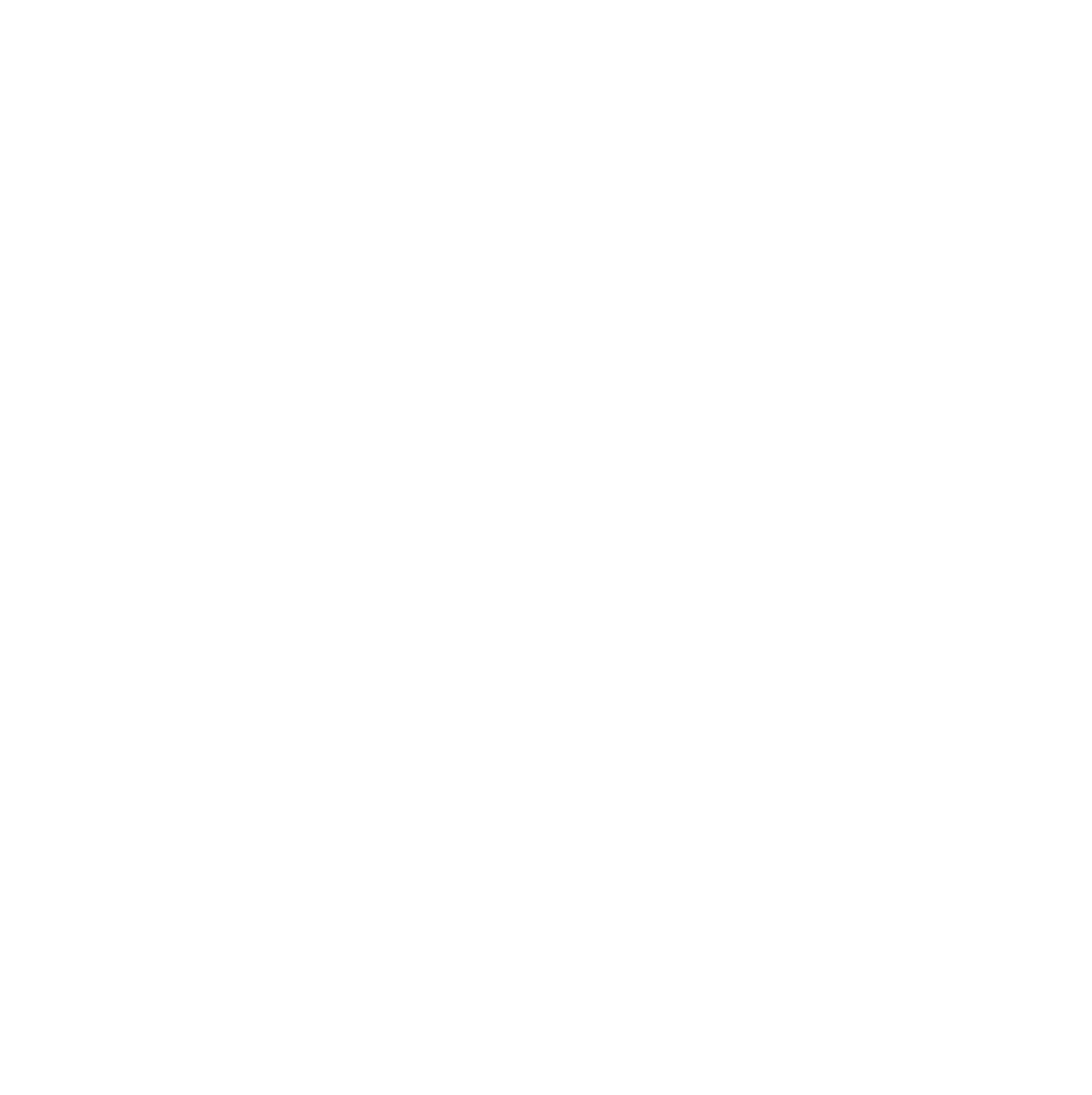 Vioneers Logo