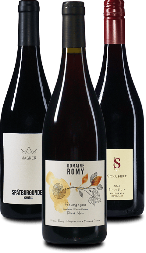Das PINOT NOIR Weinpaket 3er